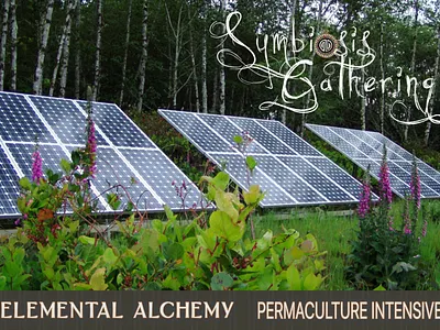 Pre-Festival Design Course Graphics and Email arttext maildesignpro publishing