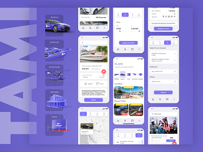 TAMI APP app boat car design event house plane rental ui ux