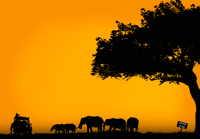 Elephants walking in the sunset design elephants photographer sunset