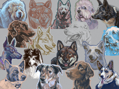 Good boys [digital drawing] animal art canin color graphic digital sketch dog good boy hound hund hundchen illustration puppy sketch