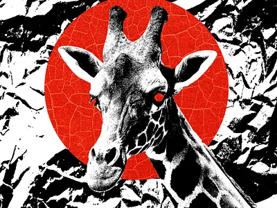 002 adobe animal animals branding design digital digital art editorial graphic design graphicdesign illustration logo ui