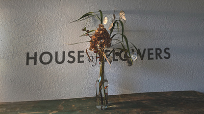 HOUSE of FLOWERS flower flowerdesign typo typography