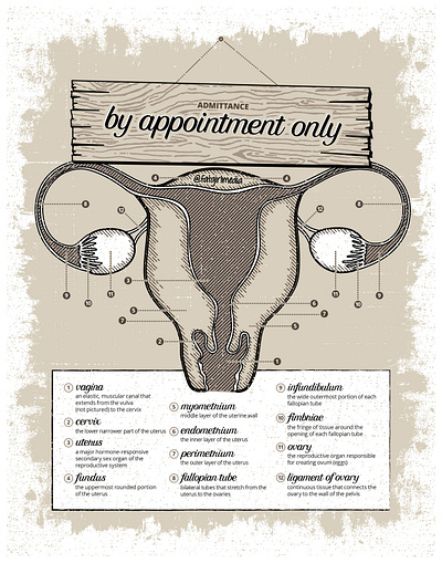 By Appointment Only (Snippet) activism calligraphy design feminism hand lettering illustration lettering poster design pro choice reproductive rights typography