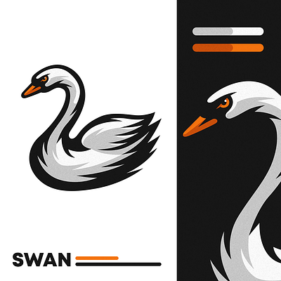 Swan Illustration animal bird design detailed drawing illustration logo nature swan swans vector