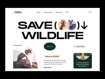 National Geographic Web Site Design: Landing Page / Home Page UI amazon animal creative design dribbble2022 geographic homepage landing page minimal national geographic nature orix saas sajon travel web3 website website design wild wildlife