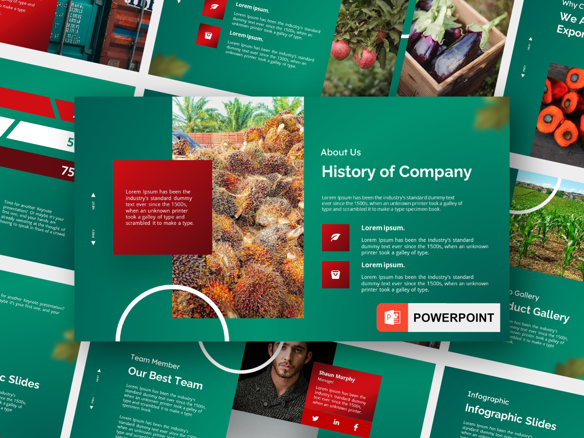 Example of Presentation / Pitch Deck Design