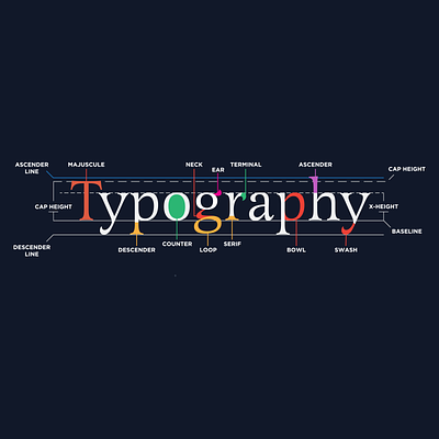 Anatomy of Type T-shirt illustration shirt design typography vector