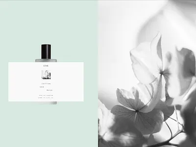 Perfume Branding art direction branding design illustration logo