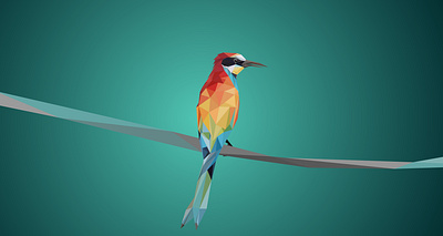 Polygonal Illustration. Low Poly bird design dribbble illustration illustrator logo low low poly nature poly polygonal polygonal illustration vector