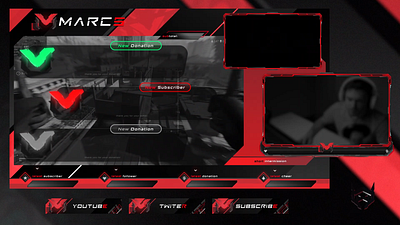 Stream Pckage Design branding cinema4d design element3d full stream package illustration illustrator logo photoshop stream design stream package design twitch emotes twitch facecam twitch panels ui vector