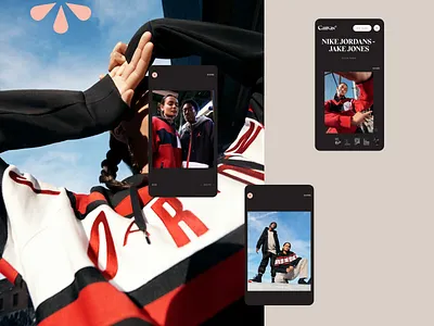 Canvas Reveal branding canvas design graphic design illustration interactive design mobile design mobile web design photogaphy product design rogue studio typography ui web website