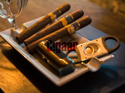 Cigaar Brand Identity Design branding logo logo design logo designer