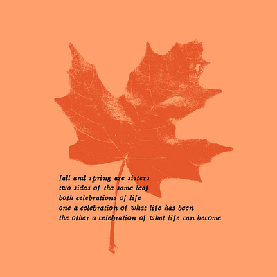 The Same Leaf autumn color design fall leaf plants spring texture typography