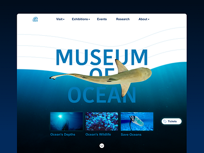 Museum of Ocean blue ocean shark ui web design
