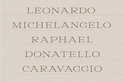 Christo - Renaissance Display Serif branding classic creative market font graphic design logo logo design serif type design typeface typography