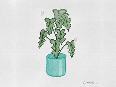 Digital art ( nice plant ) art artist color coloring design designer digital art digital work finger art illustration plant sketchbook sketchbook mobile