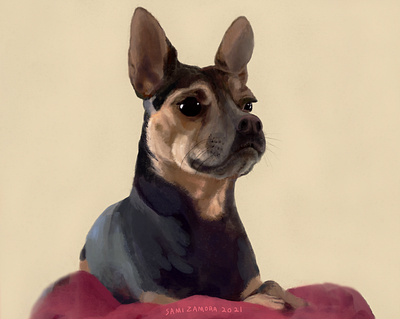 Chewy animal illustration cute dogs design digital painting doglover dogs illustration painting pet portraits portraits