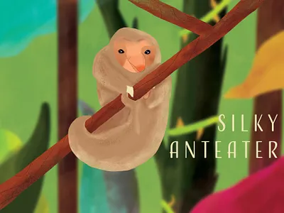 Silky Anteater adobe design illustration illustrator cc poster vector