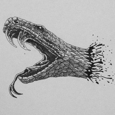 Snake-Head graphic design illustration