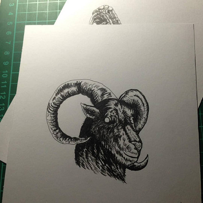 GOAT graphic design illustration