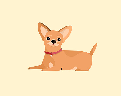 Chihuahua ai animals cartoon characterdesign chihuahua dog graphics illustration illustrator puppy vector vectorart