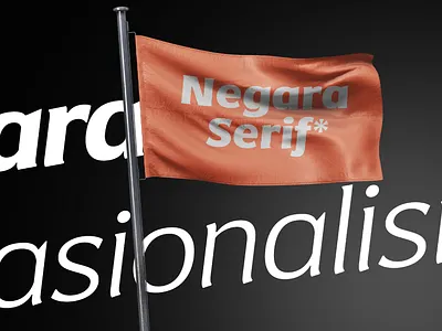 Negara Serif Font Family brand brandidentity branding design font icon identity illustration logo sans serif serif type design typeface ui vector