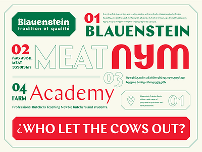 Meat Typography 🥩 branding concept design font georgian typography glyphs graphic design layout letters meat typography ui