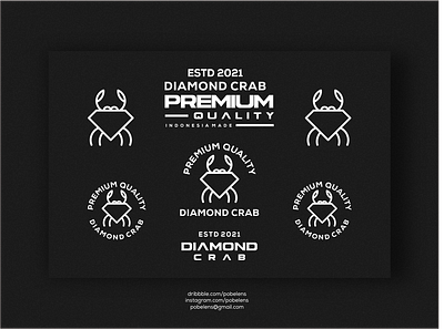 Diamond Crab Concept Logo branding care logo