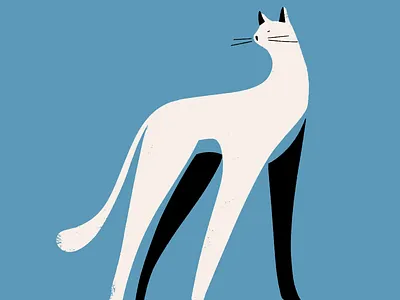 I love cats. They are gorgeous like women 2d animal cat characters design flat illustration pet shape texture vector vector art