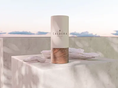 Beach Vibes crypto webflow