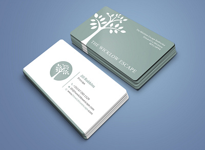 business card business card luxurys business card moden business card professional business card