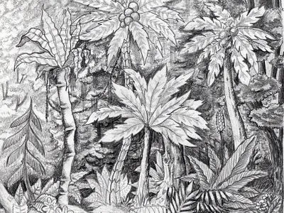 Into the woods adventure black children design dessin drawing fairy forest graphic design graphite illustration panoramic pattern storybook tails vegetal wallaper