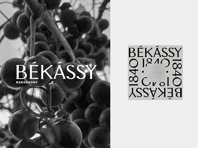 Békássy winery - visual identity and packaging design art direction branding concept corporate design design graphic design icon illustration image world label logo packaging typography vinery web design wine