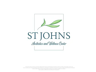 ST Jhons branding graphic design logo