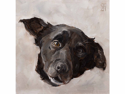 Circle of care (Oil) alla prima animal portrait dog dog portrait fineart illustration oil painting painting portrait realism