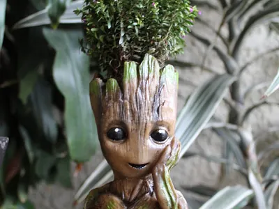 Groot fotografía