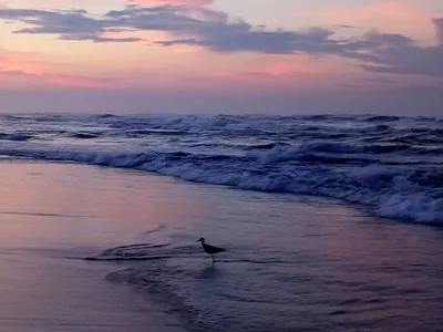 atardecer fotografía