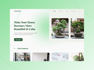 MongPlants - Web Design app branding clean design graphic design illustration logo ui uidesign ux vector web webdesign website