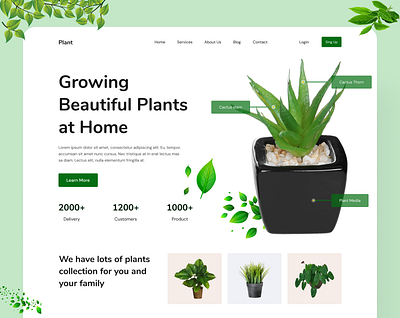 Plant Landing Page Design design designer landing page design plant landing page design ui ui case study ui designer ui experience ui expert uiux uiux design user experience user interface web design web desinger web experience web expert webpage