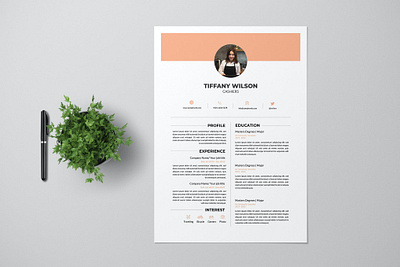 Cashier Resume Pro career clean corporates cover letter cv design cv template design graphic design illustration job cv jobs minimal cv modern cv motion graphics professional clean professional cv resume resume design resume pro resume template