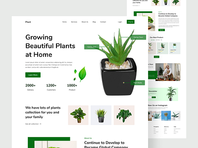 Plant Landing Page Design design designer landing page design plant landing page design ui ui case study ui experience ui expert uiux uiux designer user experience user interface web design web experience web expert web page