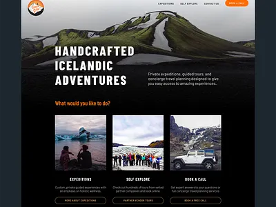 David The Guide Landing Page iceland landing page tour guide travel
