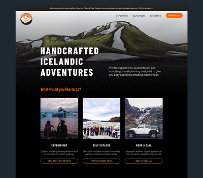 David The Guide Landing Page iceland landing page tour guide travel