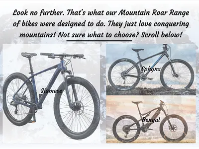 Roar Bikes - Scroll-Down - Web Design adobe xd design ui design ux design web design