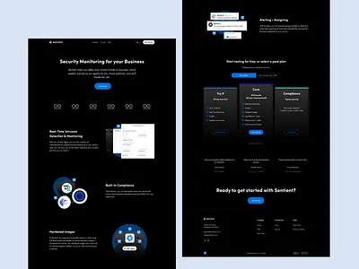 Sentient Security Landing Page cybersecurity home page landing page security