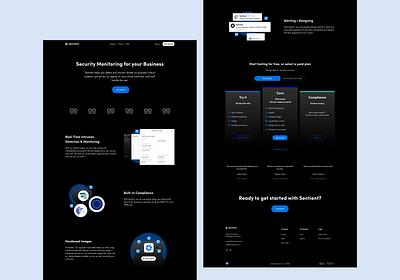 Sentient Security Landing Page cybersecurity home page landing page security