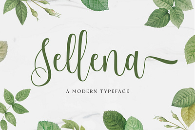 Sellena Script banner