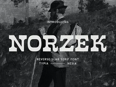 Norzek - Retro Vintage Reverse Slab Serif Font adventure branding camp classic display font fonts hiking lettering logo mountain offroad retro reverse sans serif serif slab vintage wild