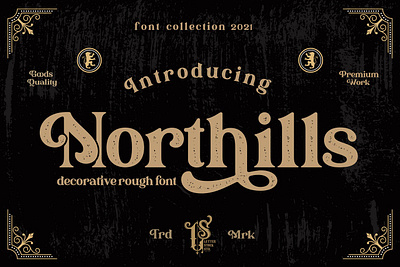 Northills | Retro Rough Font branding decorative font design display display font elegant fonts lettering logo poster design retro font retro fonts retro poster rough font rough fonts sans serif serif texture vintage font vintage fonts