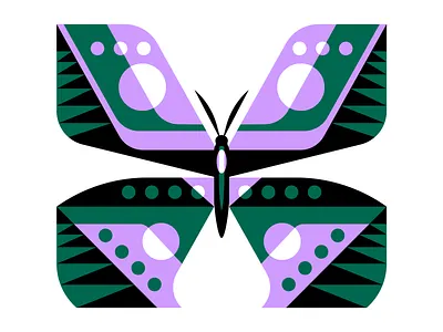 🦋 butterfly illustration nature